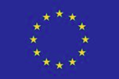 EU_flag.png
